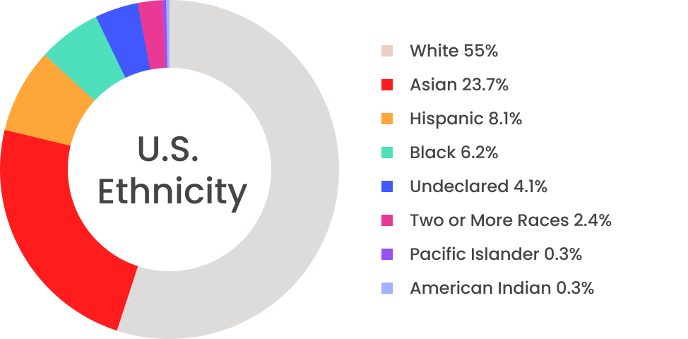 Company Ethnicity Chart